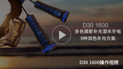 OB视讯·(中国区)整体-潜水手电筒D30 1600